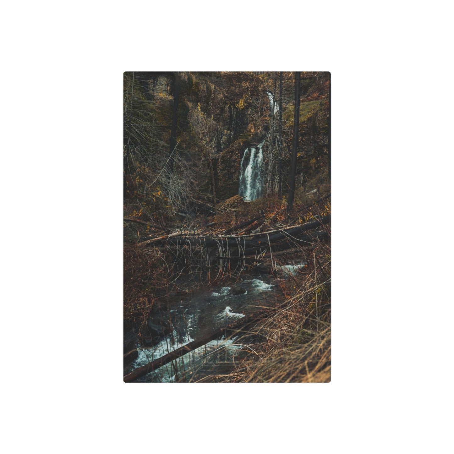 Oregon - Fall Creek Falls View - Metal Art Sign