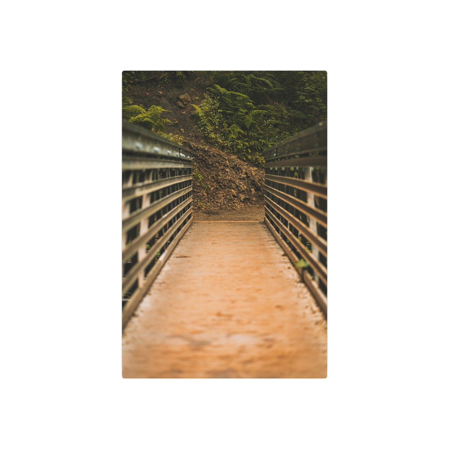 Oregon - Upper Latourell Falls Bridge  - Metal Art Sign