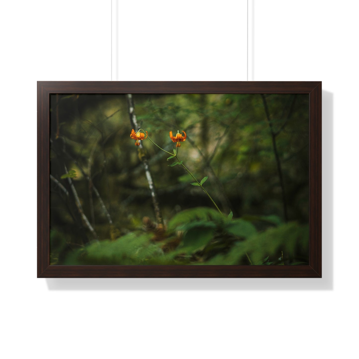 Oregon Tiger Lily - Framed Horizontal Poster