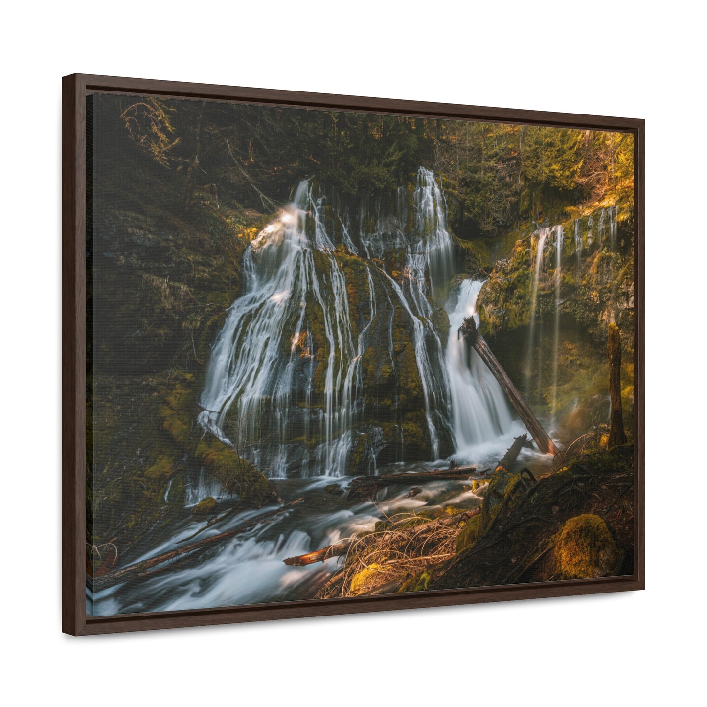 Washington - Panther Creek Falls - Gallery Canvas Wrap, Horizontal Frame
