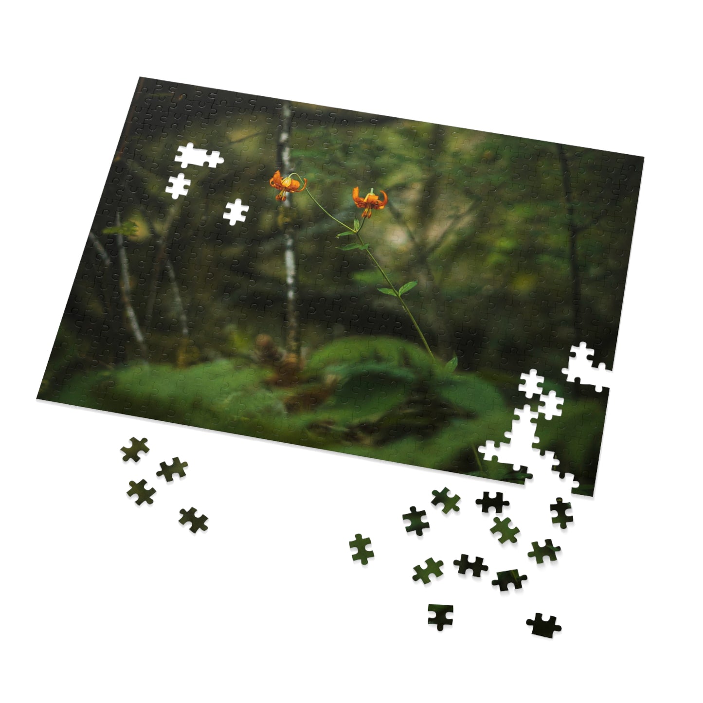 Oregon Tiger Lily - Jigsaw Puzzle (30, 110, 252, 500,1000-Piece)