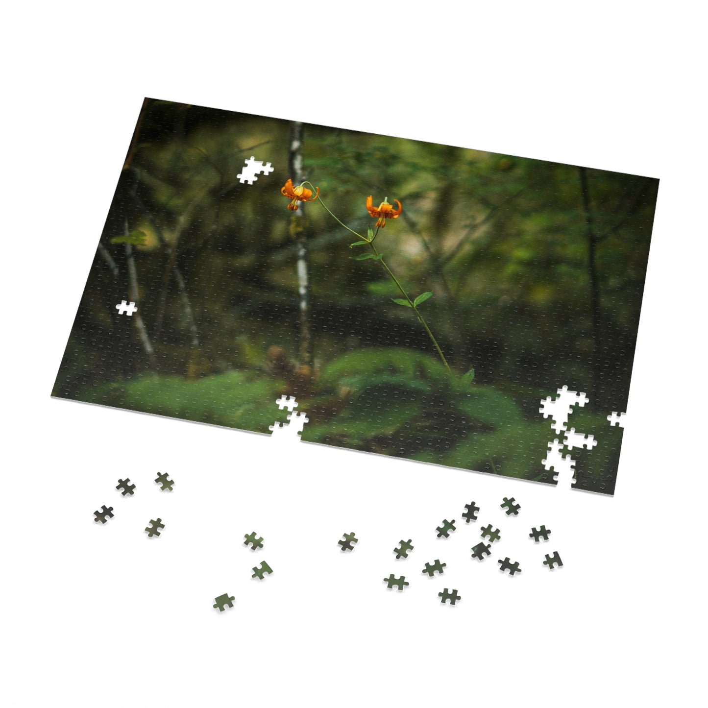 Oregon Tiger Lily - Jigsaw Puzzle (30, 110, 252, 500,1000-Piece)