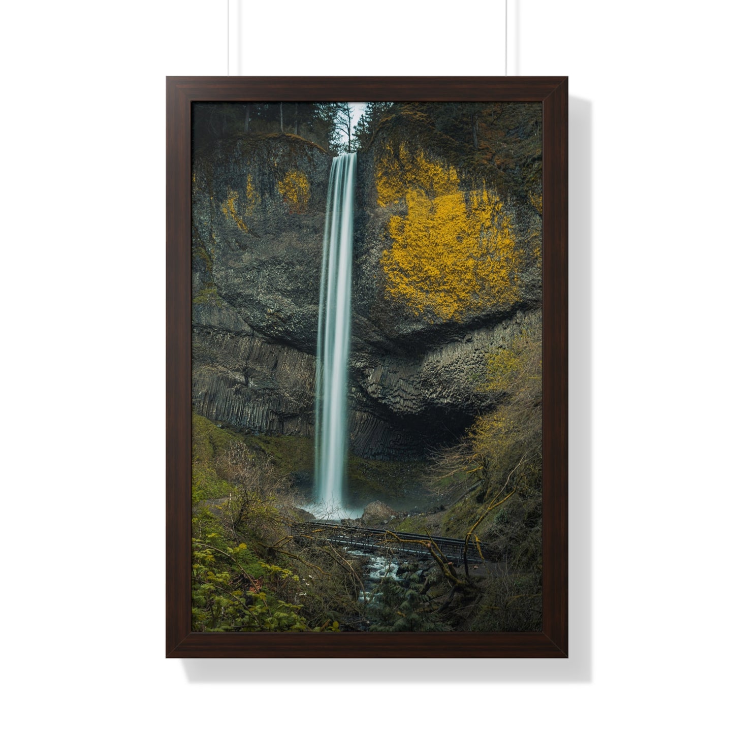 Oregon - Latourell Falls - Framed Vertical Poster