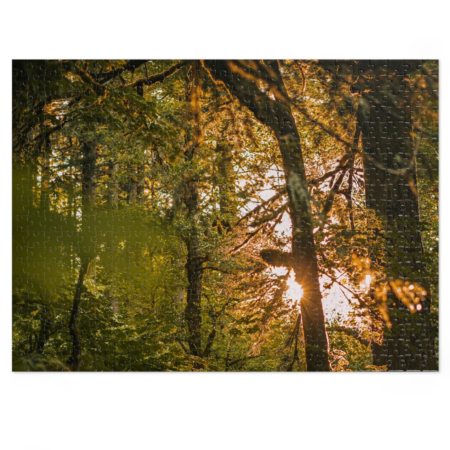 Oregon - Latourell Falls Sunset - Jigsaw Puzzle (30, 110, 252, 500,1000-Piece)