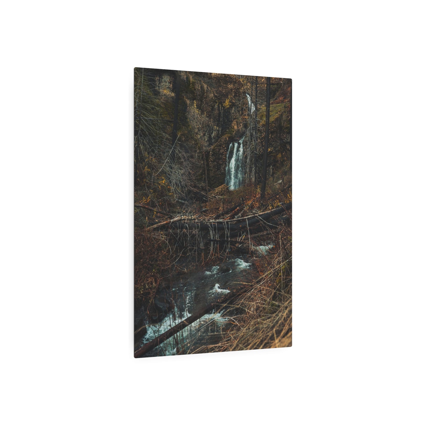 Oregon - Fall Creek Falls View - Metal Art Sign