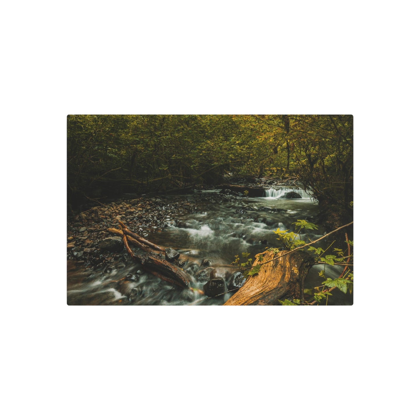 Oregon - Latourell Falls Small Creek - Metal Art Sign