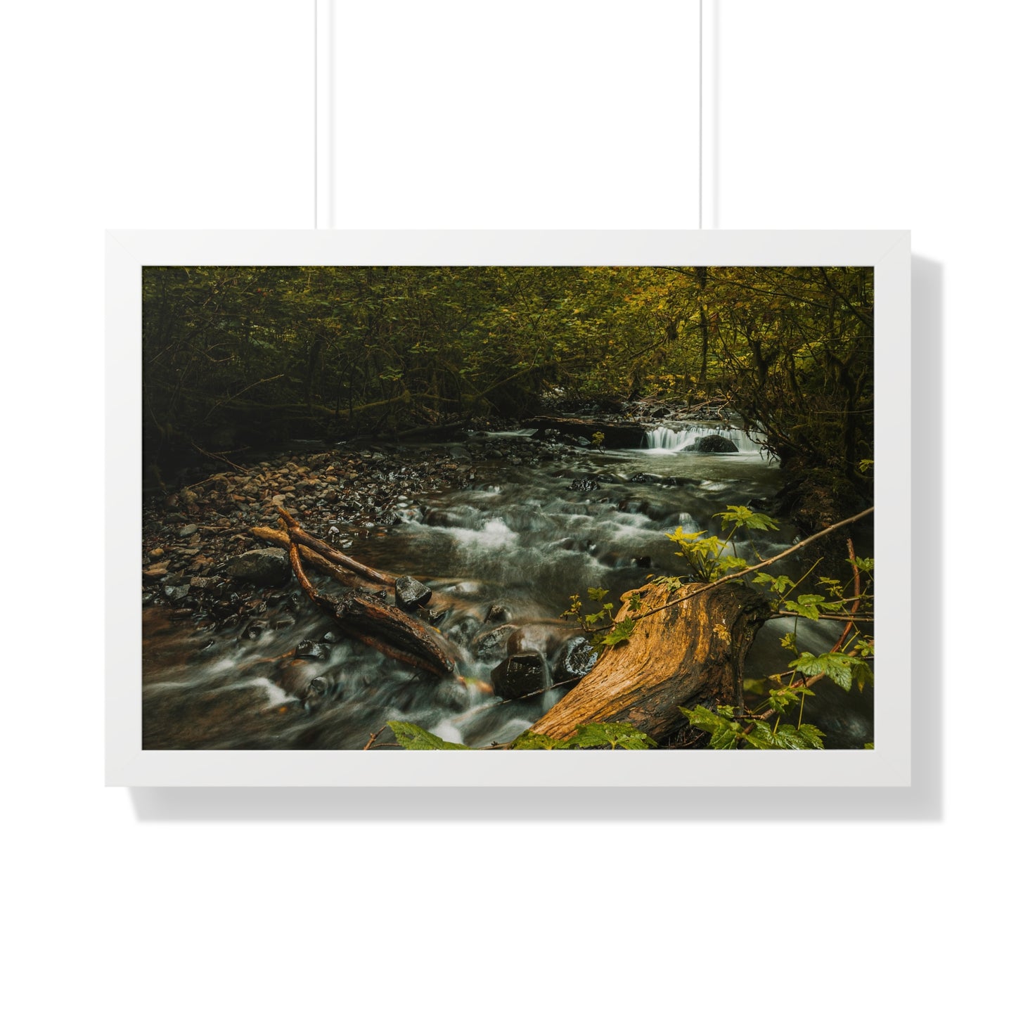 Oregon - Latourell Falls Small Creek - Framed Horizontal Poster