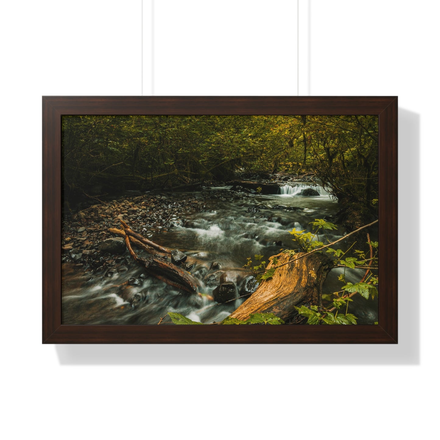 Oregon - Latourell Falls Small Creek - Framed Horizontal Poster