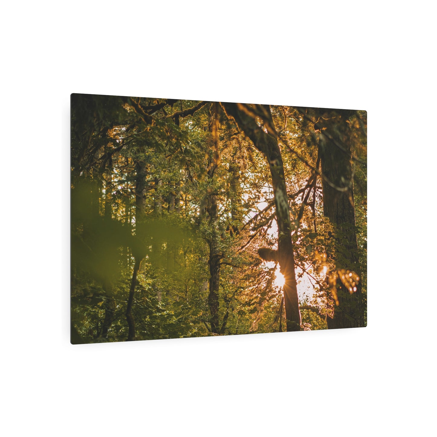 Oregon - Latourell Falls Sunset - Metal Art Sign