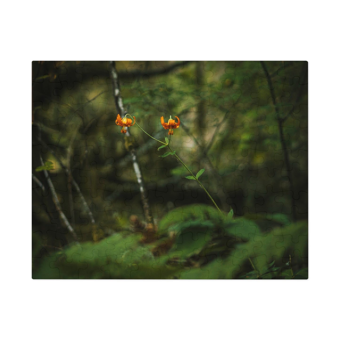 Oregon Tiger Lily - Jigsaw Puzzle (30, 110, 252, 500,1000-Piece)