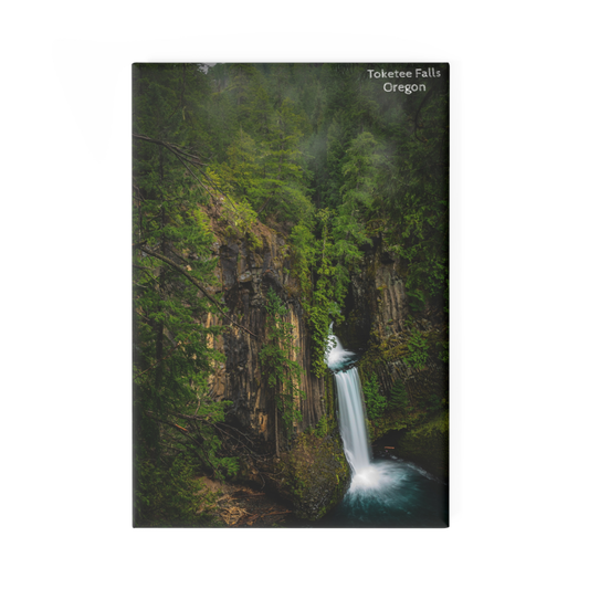Oregon - Toketee Falls - Magnet