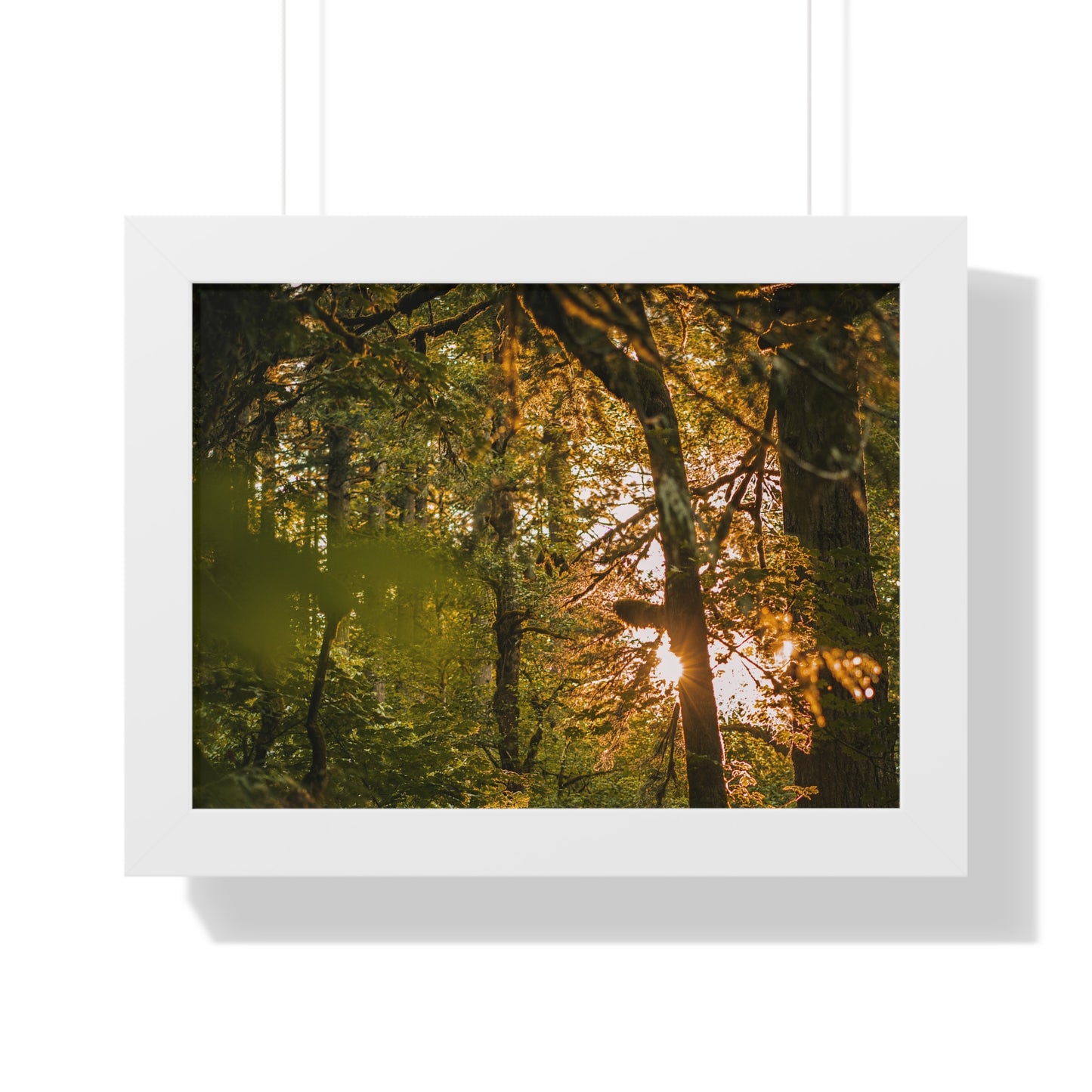 Oregon - Latourell Falls Sunset - Framed Horizontal Poster