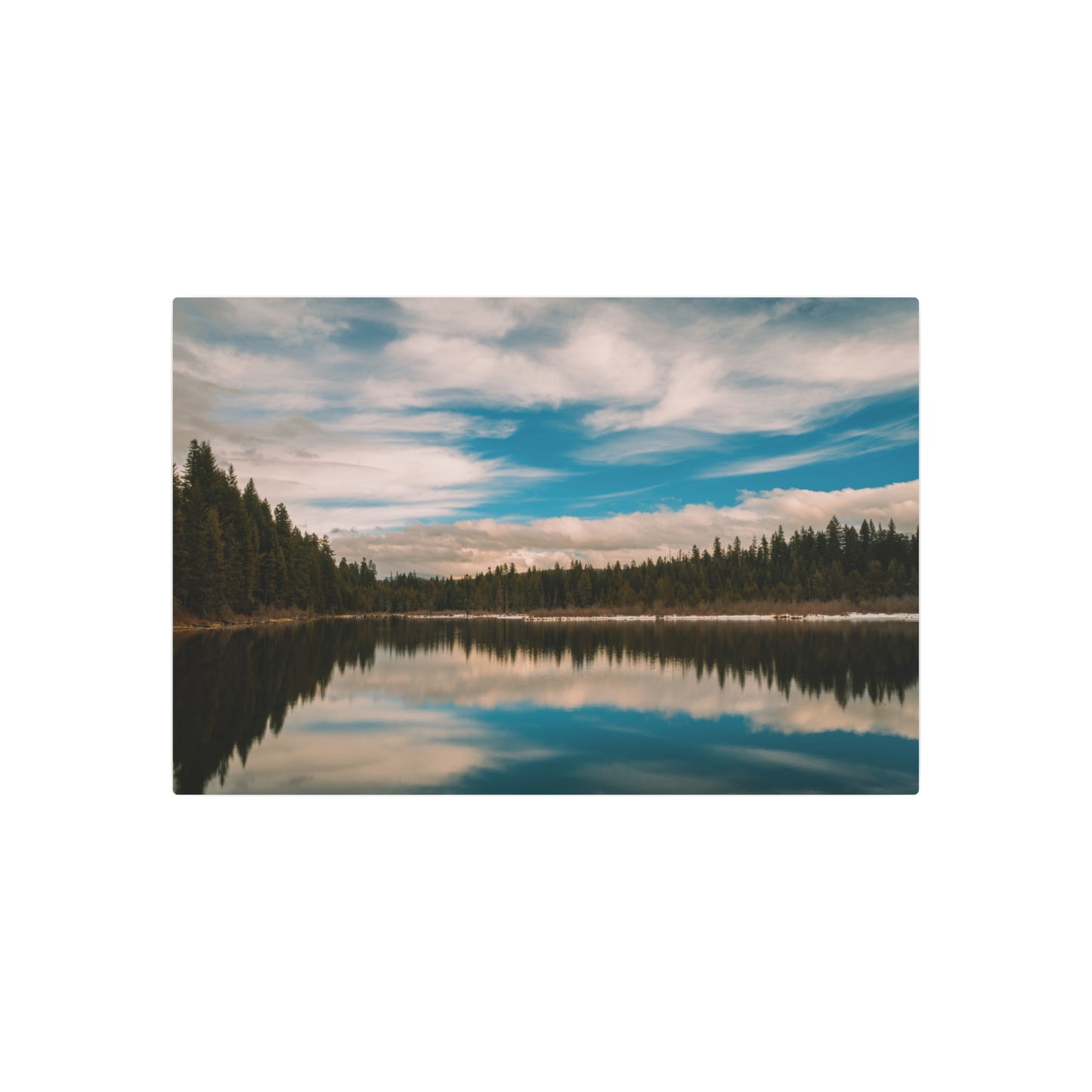 Oregon - Stump Lake - Metal Art Sign