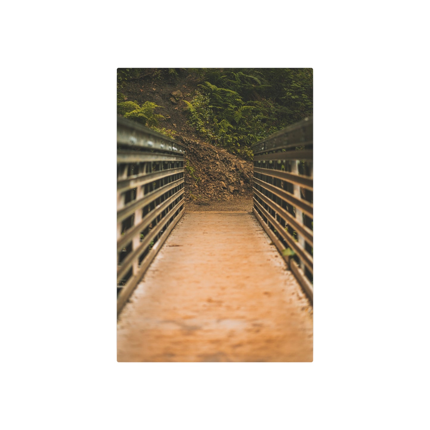 Oregon - Upper Latourell Falls Bridge  - Metal Art Sign
