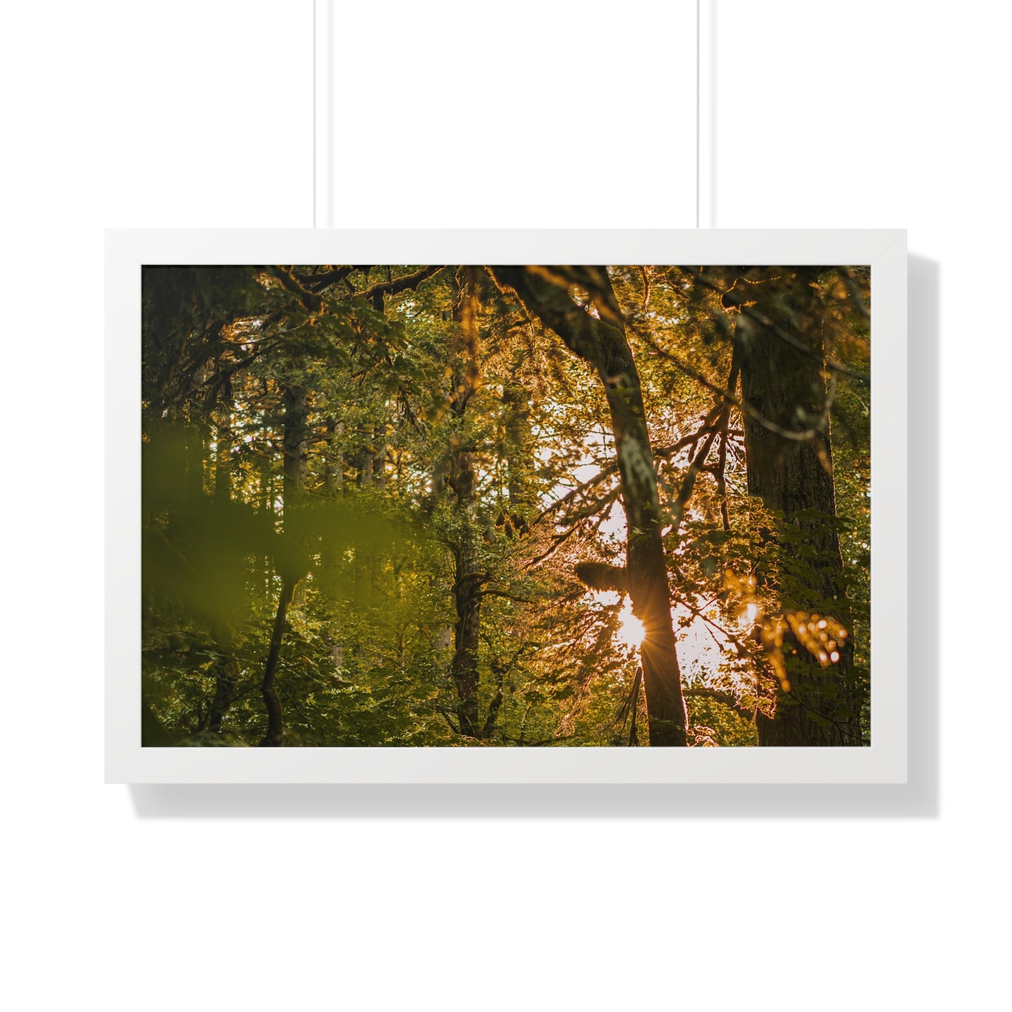 Oregon - Latourell Falls Sunset - Framed Horizontal Poster