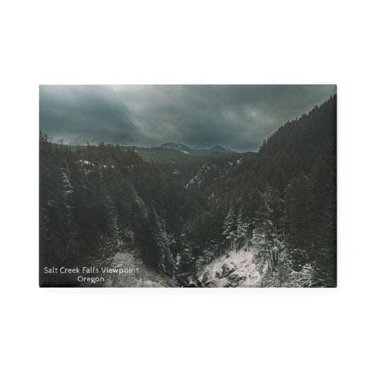 Oregon - Salt Creek Falls - Magnet