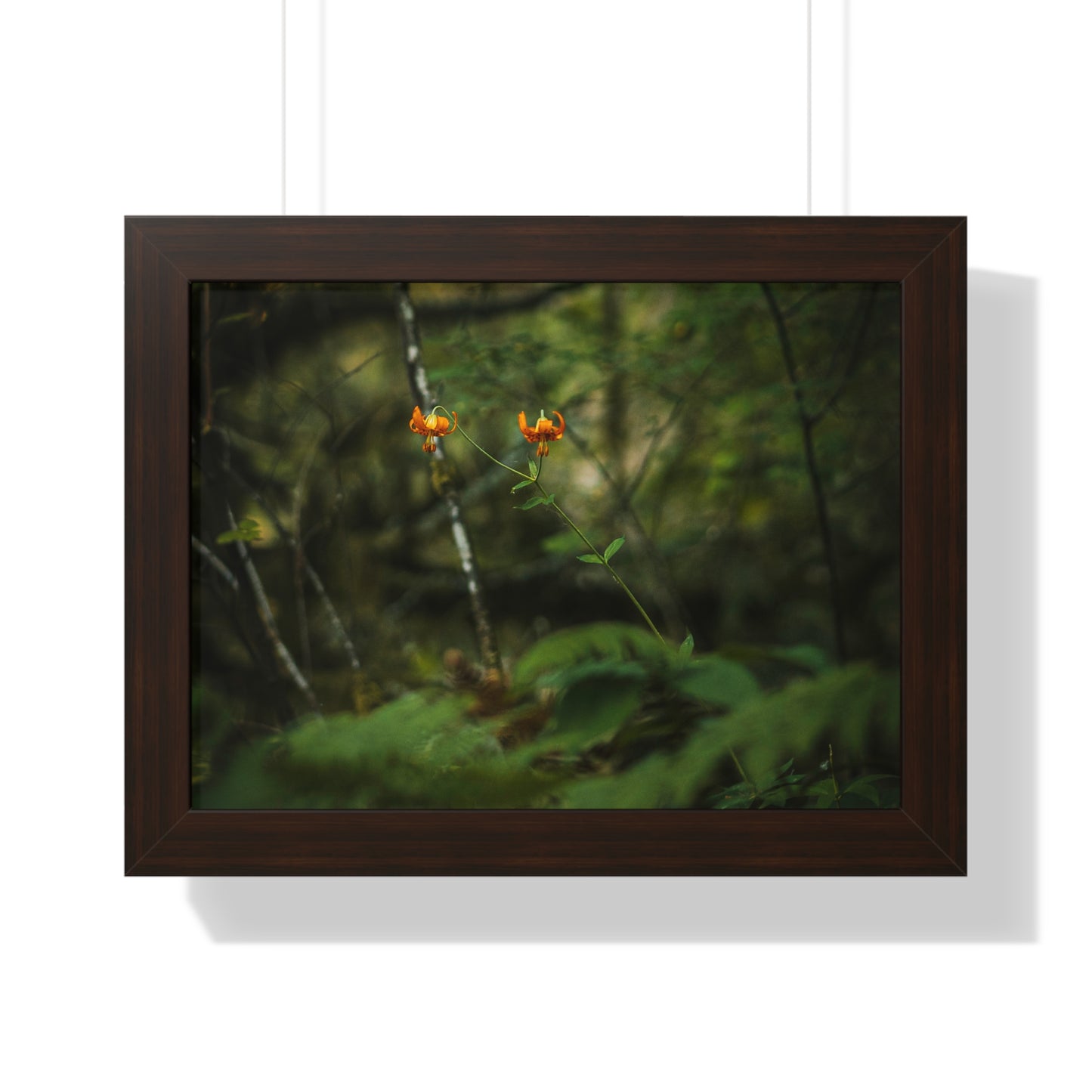 Oregon Tiger Lily - Framed Horizontal Poster