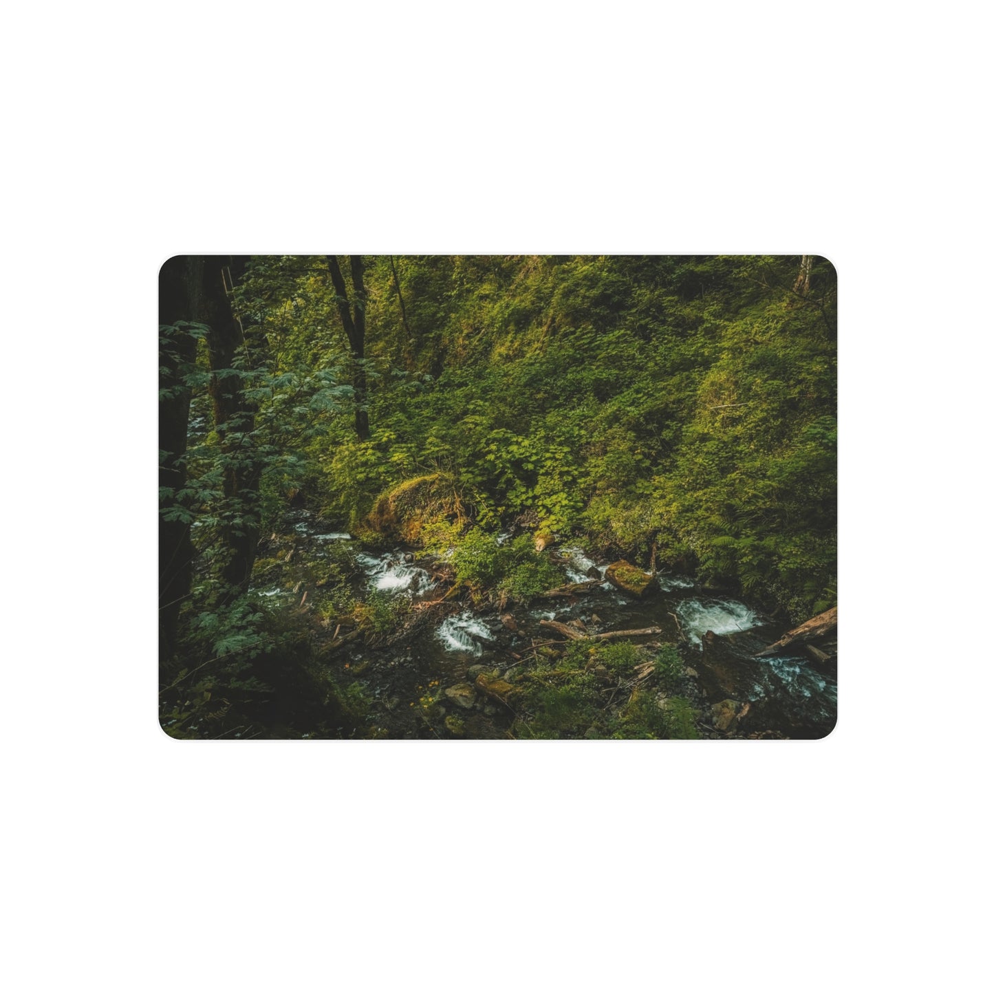 Oregon - Creek Runoff - Metal Art Sign