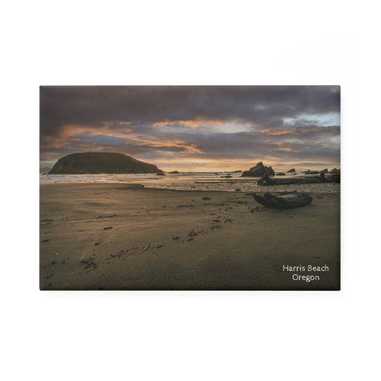 Oregon - Harris Beach - Magnet