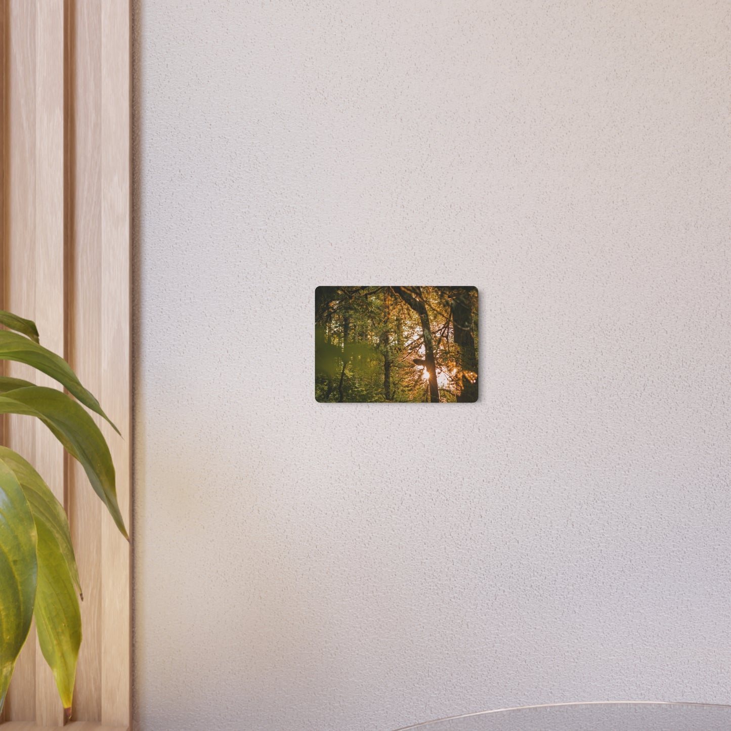 Oregon - Latourell Falls Sunset - Metal Art Sign