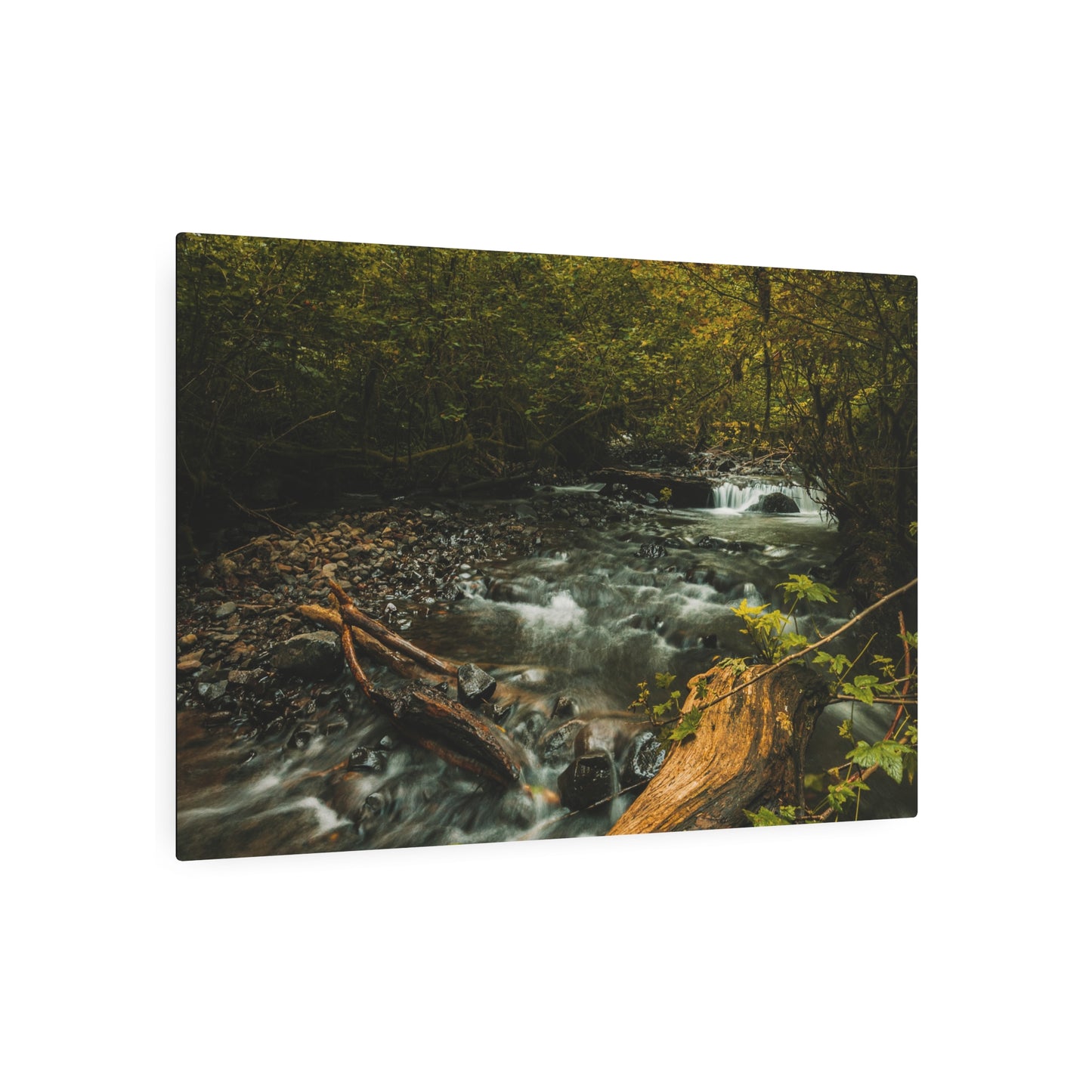 Oregon - Latourell Falls Small Creek - Metal Art Sign
