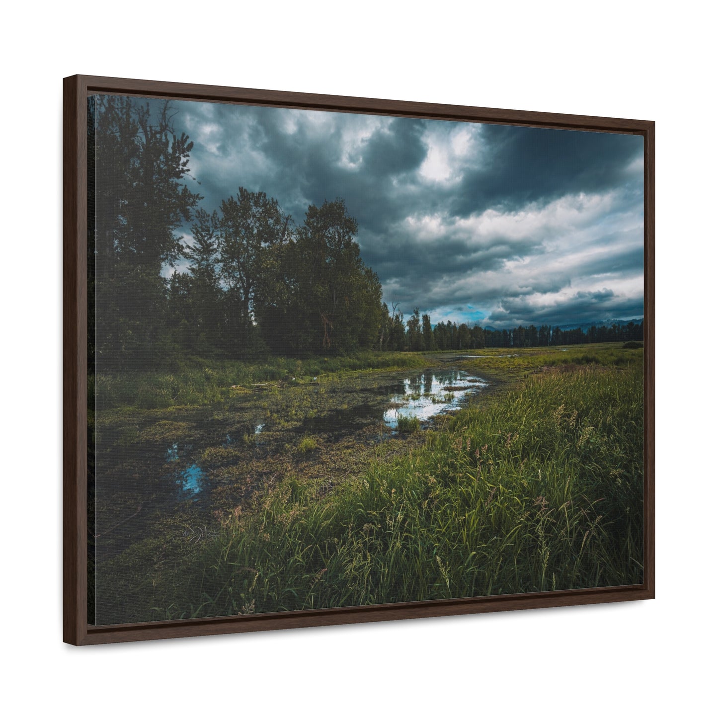 Washington - Steigerwald Lake National Wildlife Refuge - Gallery Canvas Wrap, Horizontal Frame