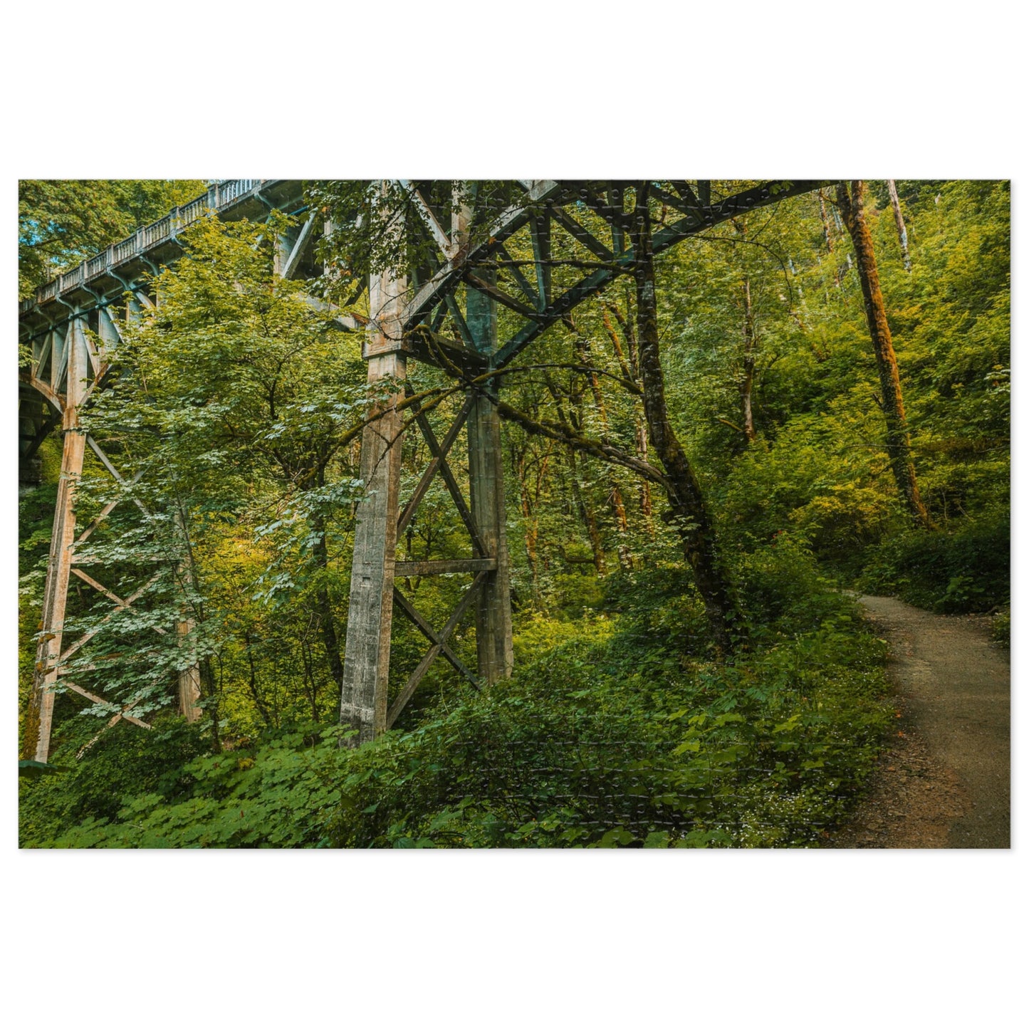 Oregon - Latourell Falls Bridge Trail - Jigsaw Puzzle (30, 110, 252, 500,1000-Piece)