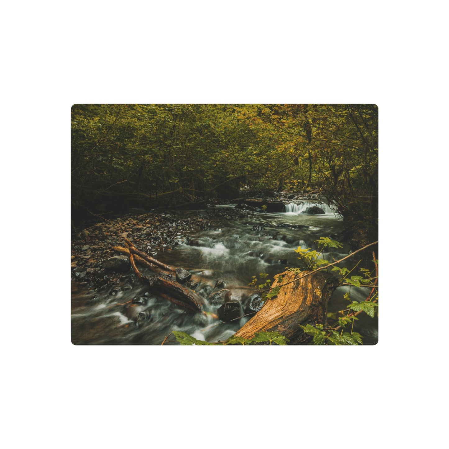 Oregon - Latourell Falls Small Creek - Metal Art Sign