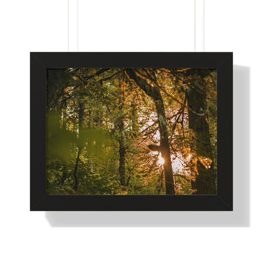 Oregon - Latourell Falls Sunset - Framed Horizontal Poster