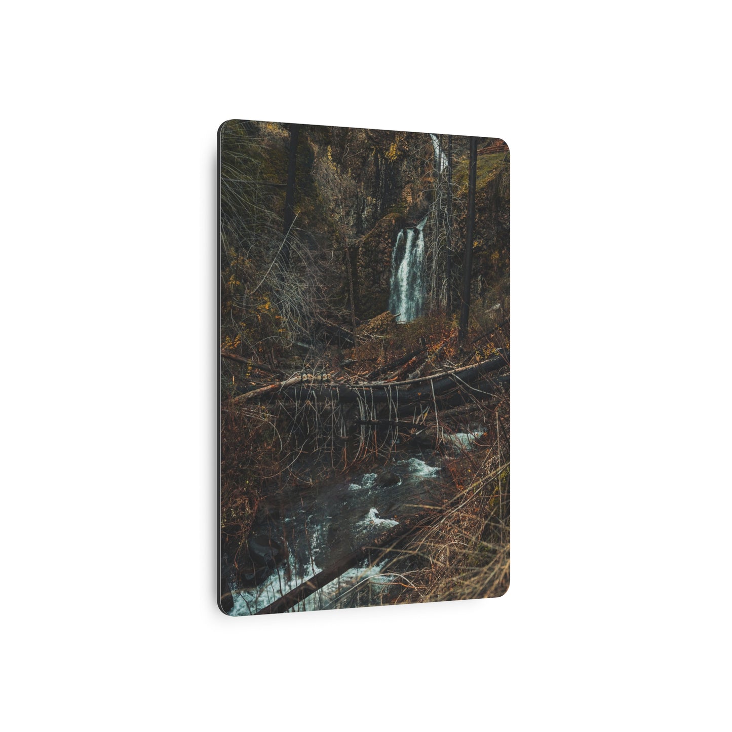Oregon - Fall Creek Falls View - Metal Art Sign
