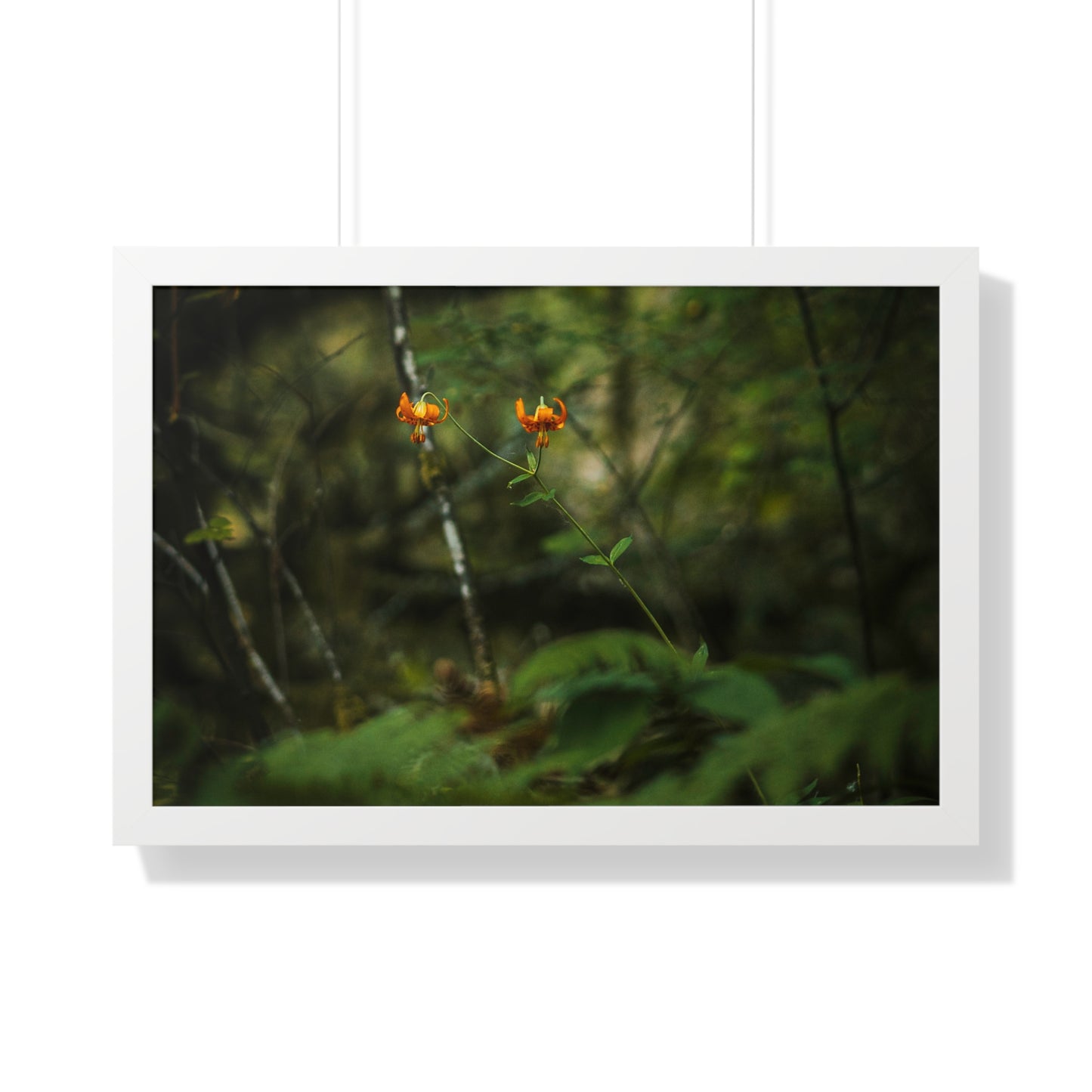 Oregon Tiger Lily - Framed Horizontal Poster