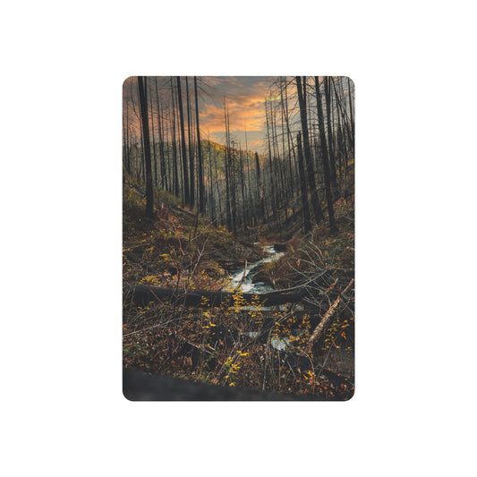 Oregon - Upper Latourell Falls - Metal Art Sign