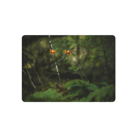 Oregon Tiger Lily - Metal Art Sign