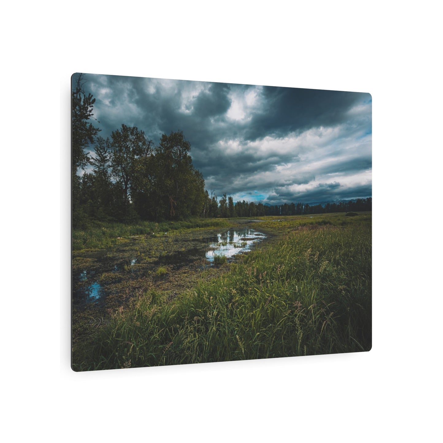 Washington - Steigerwald Lake National Wildlife Refuge - Metal Art Sign