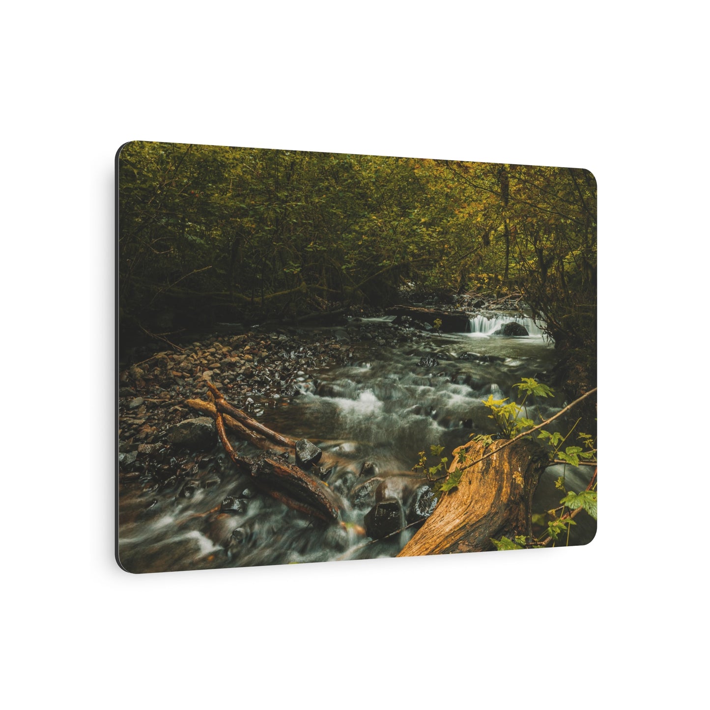 Oregon - Latourell Falls Small Creek - Metal Art Sign