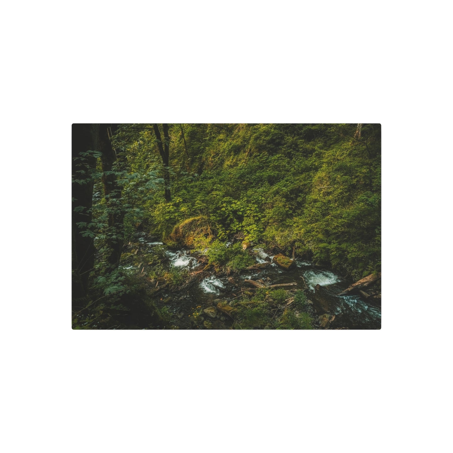 Oregon - Creek Runoff - Metal Art Sign