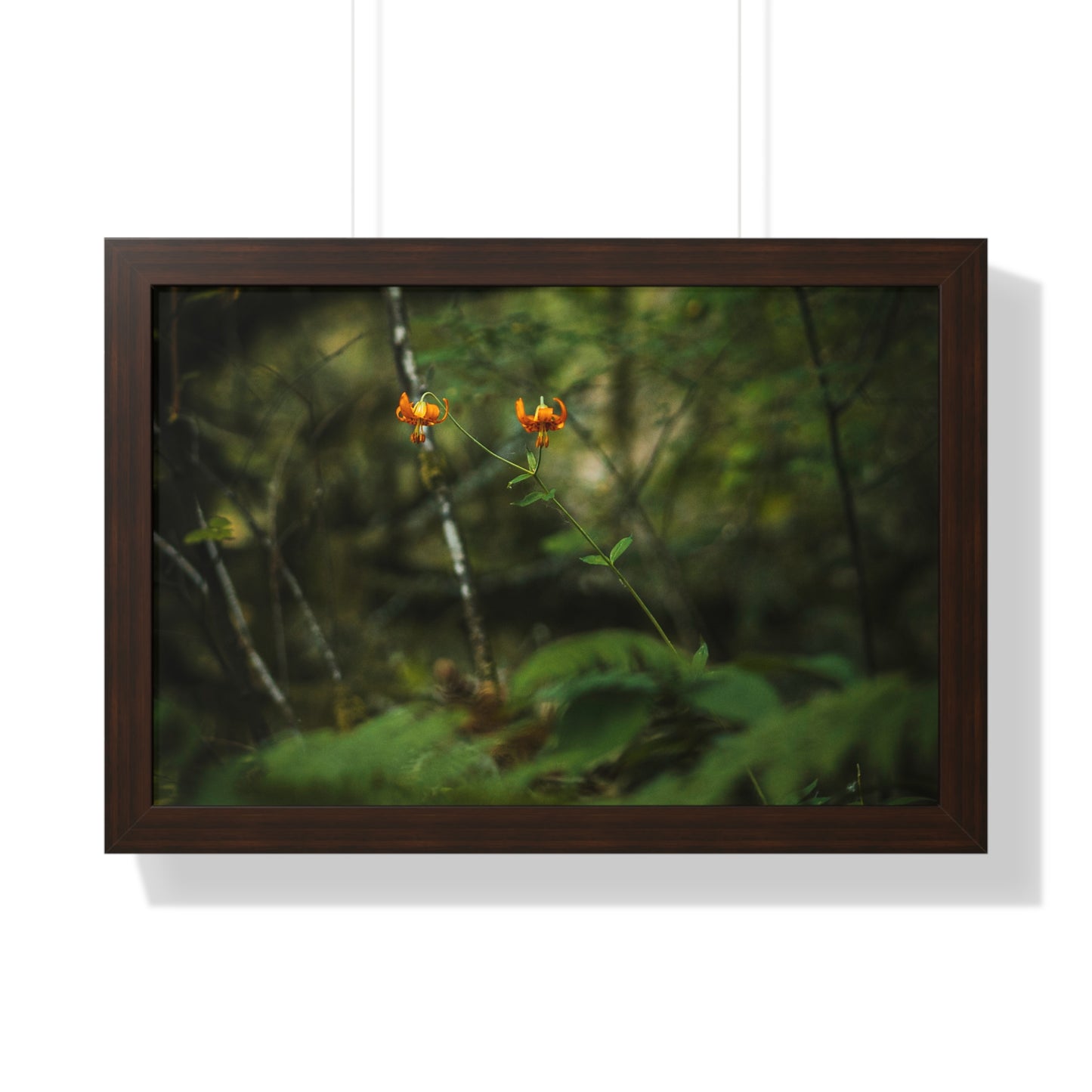 Oregon Tiger Lily - Framed Horizontal Poster