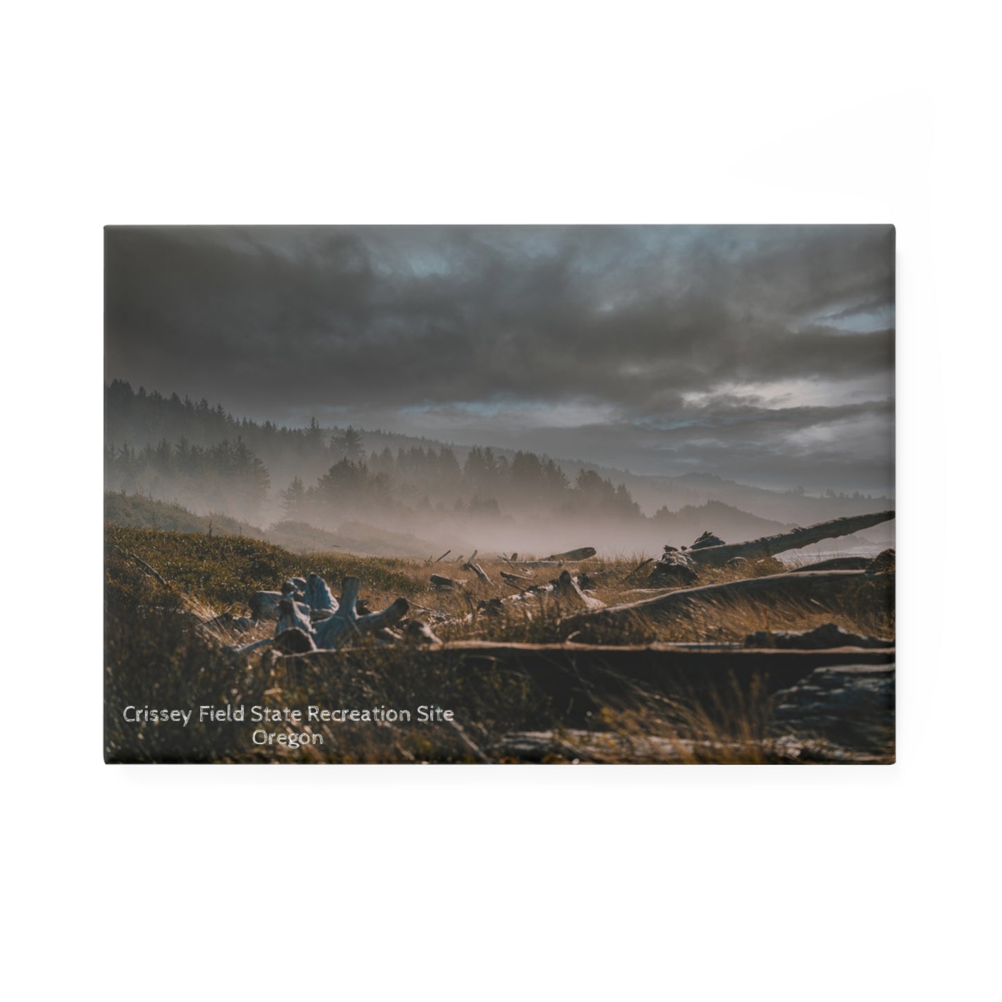 Oregon - Crissey Field State Recreation Site - Magnet