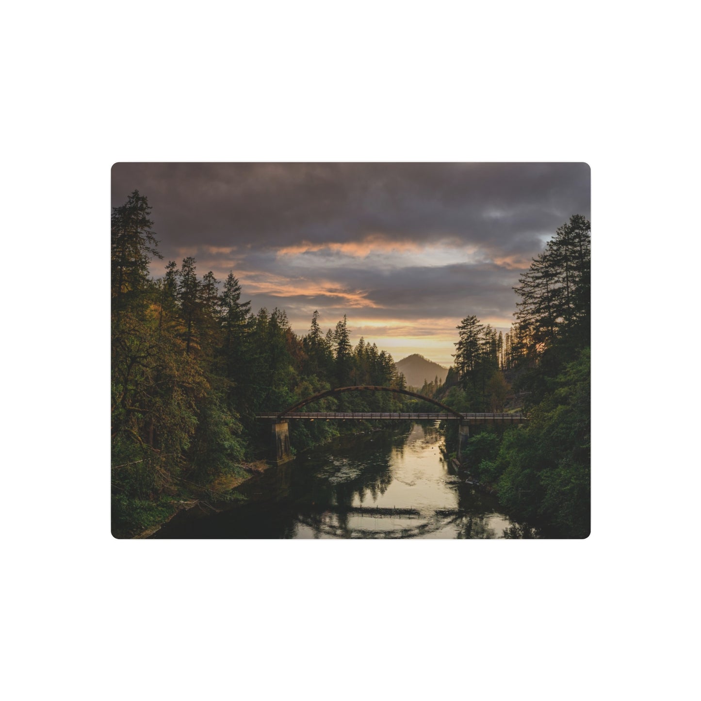 Oregon - Tioga Bridge  - Metal Art Sign