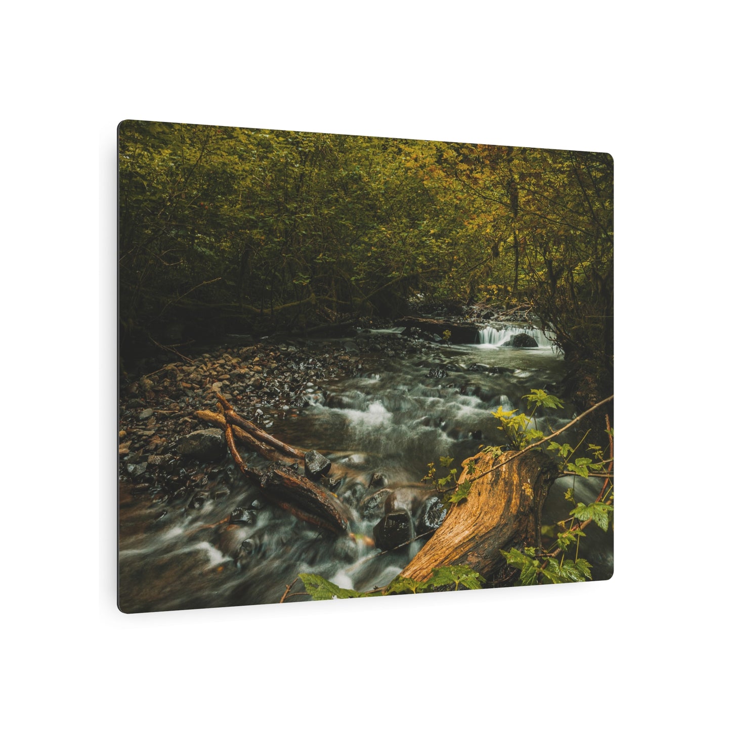 Oregon - Latourell Falls Small Creek - Metal Art Sign