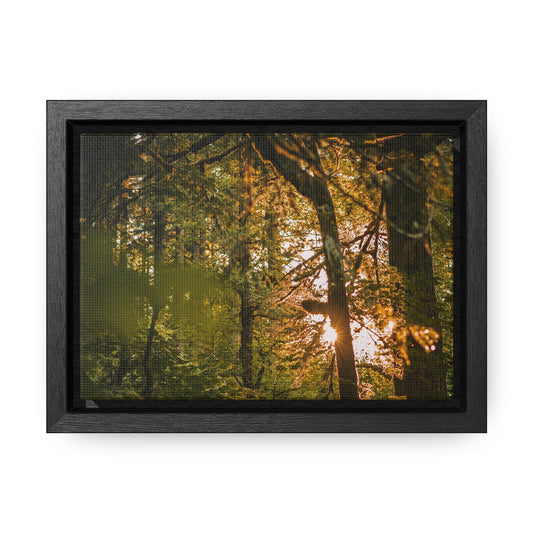 Oregon - Latourell Falls Sunset - Gallery Canvas Wrap, Horizontal Frame