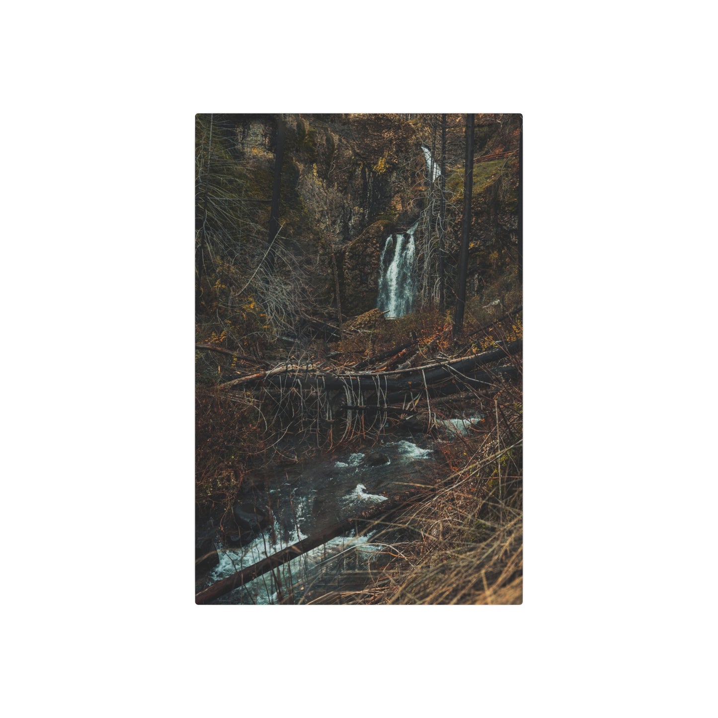 Oregon - Fall Creek Falls View - Metal Art Sign