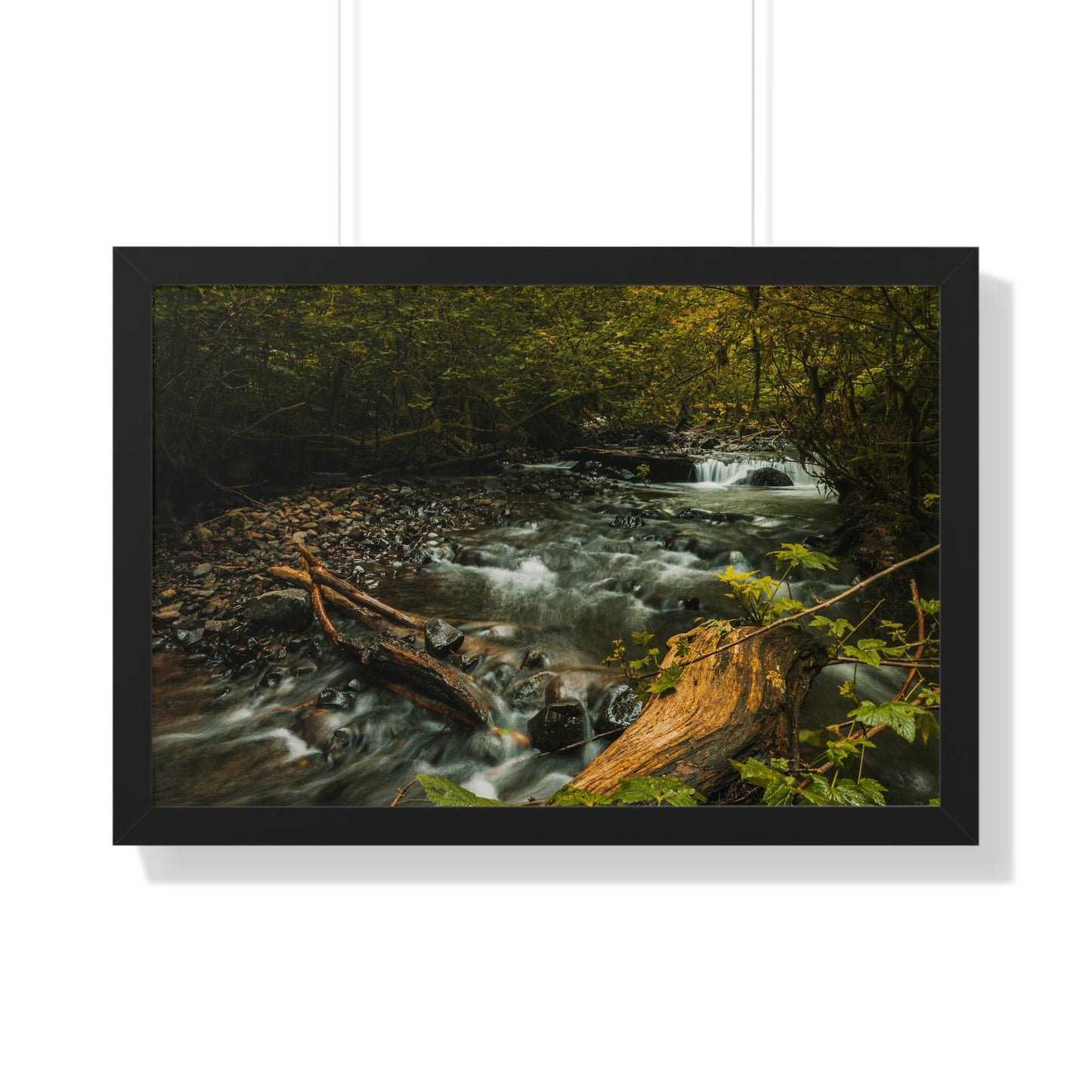 Oregon - Latourell Falls Small Creek - Framed Horizontal Poster