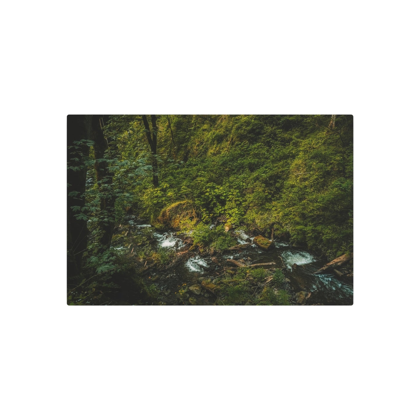 Oregon - Creek Runoff - Metal Art Sign