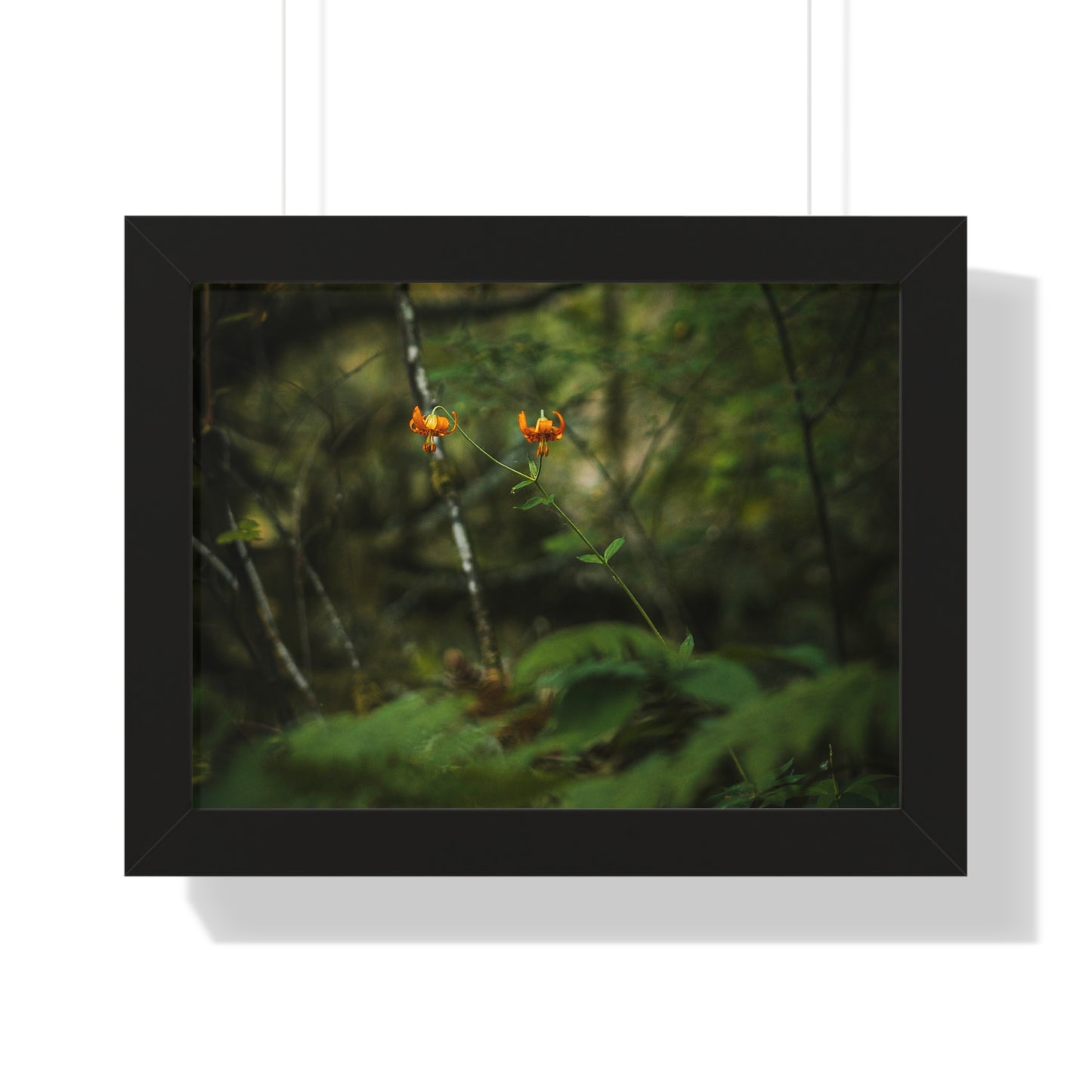 Oregon Tiger Lily - Framed Horizontal Poster