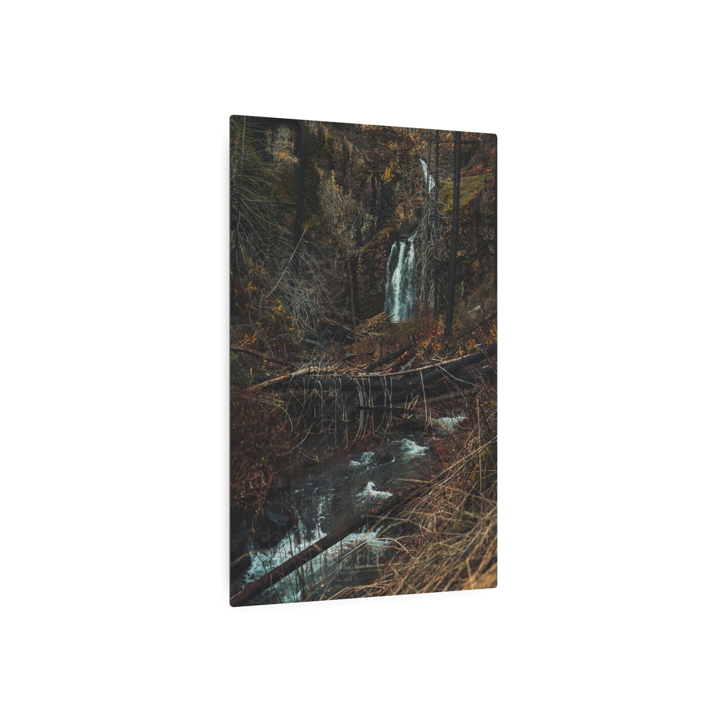 Oregon - Fall Creek Falls View - Metal Art Sign