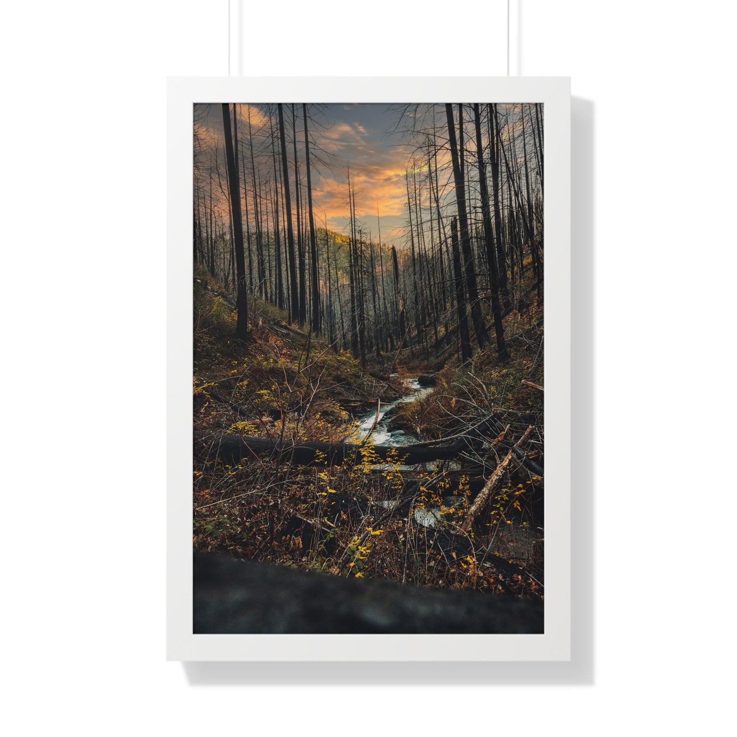 Oregon - Fall Creek Falls - Framed Vertical Poster