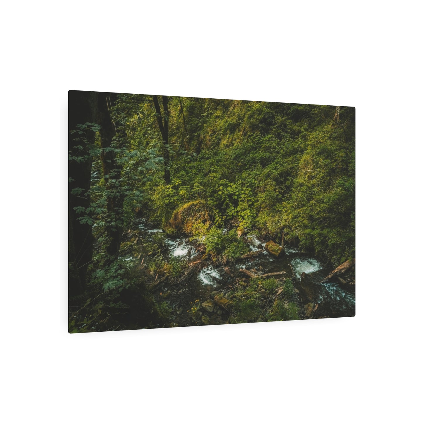 Oregon - Creek Runoff - Metal Art Sign